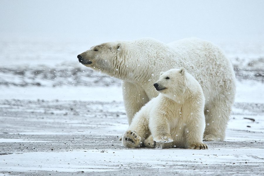 10 things to photograph before they're gone