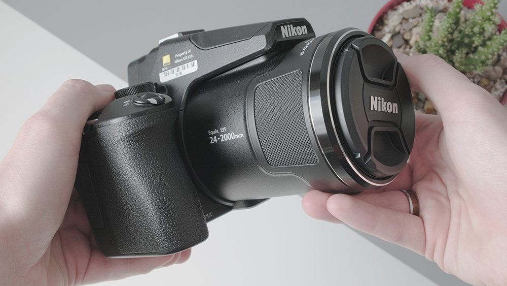 Nikon P950 Close-up