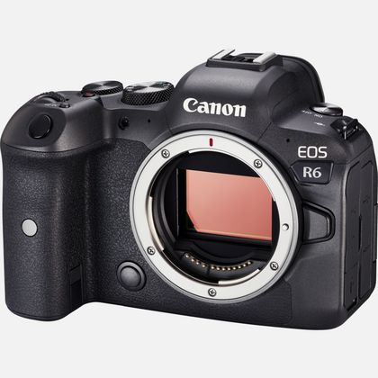 Canon R6 Sensor