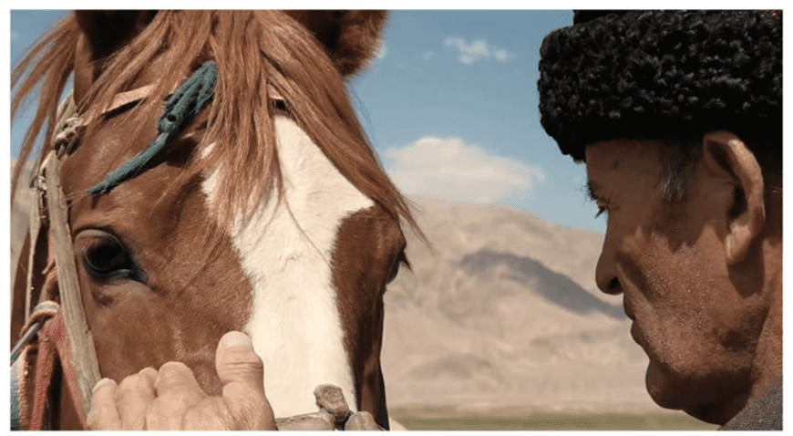 © Lin Haiyin [China] Master of the Horse and the Horses