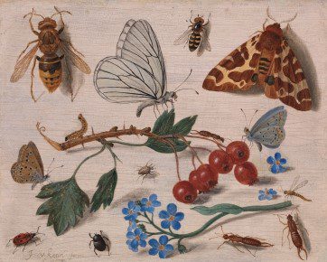 Jan van Kessel the Elder