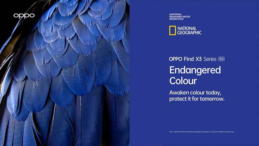 Oppo-Endangered-Colour