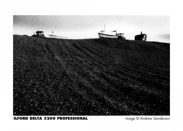Ilford Delta 3200 120 Black & White Film-3